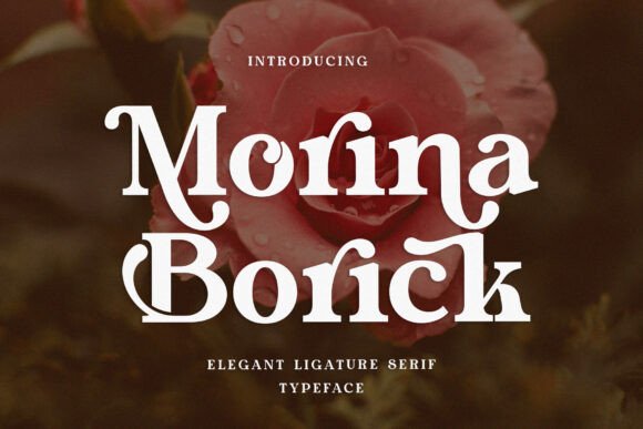 Discover Morina Borick: A Sophisticated Serif Font for Editorial Design