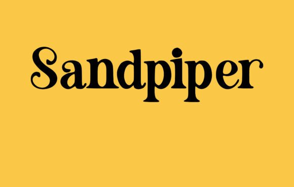 Discovering Sandpiper: A Sweet and Friendly Font for Creative Projects
